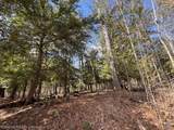 4233 Hardacre Trail - Photo 20