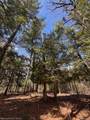 4233 Hardacre Trail - Photo 21
