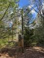 4233 Hardacre Trail - Photo 28