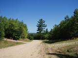  Wildwood Trail - Photo 4