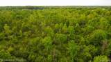 Vacant Land 30 Mile Road - Photo 15