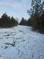 5455 Kelly Road - Photo 2