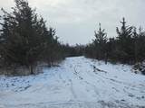 5455 Kelly Road - Photo 4