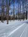V/L Timberlane Drive - Photo 3