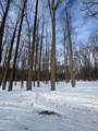V/L Timberlane Drive - Photo 4