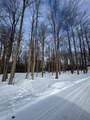 V/L Timberlane Drive - Photo 5