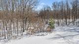 A Rolling Ridge Road - Photo 20