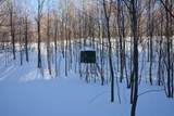 0 Schomberg Road - Photo 33