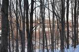0 Schomberg Road - Photo 40
