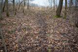 1601 Territorial Road - Photo 26