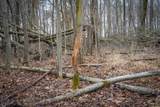 1601 Territorial Road - Photo 29