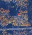 6136 High Road - Photo 9