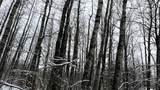 Lot 35 Wilderness Drive - Photo 3