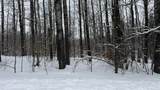 Lot 35 Wilderness Drive - Photo 4