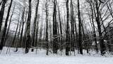 Lot 35 Wilderness Drive - Photo 6