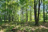 6127 Fawn Lake Drive - Photo 7