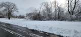 3997 17TH Street - Photo 7