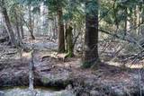 5717 Maple Ridge Road - Photo 68