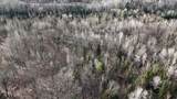 5717 Maple Ridge Road - Photo 95