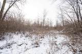 30905 Beverly Road - Photo 15
