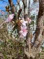 100 Westwood Street - Photo 15