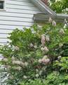 100 Westwood Street - Photo 20