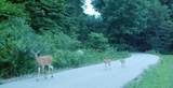 18800 County Road 681 - Photo 45