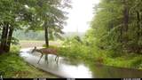 18800 County Road 681 - Photo 49