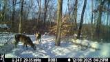 12409 Bellevue Road - Photo 43