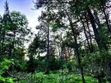 2498 Five Mile Road - Photo 25