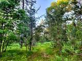 2498 Five Mile Road - Photo 33
