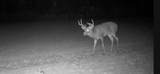 2498 Five Mile Road - Photo 8
