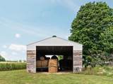 3651 Gleaner Hall Road - Photo 43