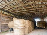 3651 Gleaner Hall Road - Photo 45