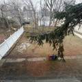 418 Dorchester Avenue - Photo 8