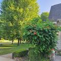 6245 Dublin Drive - Photo 46