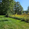 6245 Dublin Drive - Photo 48