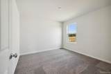 717 Whisperwood Way - Photo 13