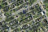 568 Euclid Street - Photo 3