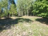 Parcel A Lake Bluff Drive - Photo 10