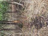 00 Martus Road - Photo 10