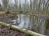 00 Martus Road - Photo 17