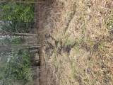 00 Martus Road - Photo 5
