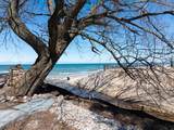 3126 Lake Shore Road - Photo 76