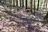1697 Wildwood Road - Photo 77