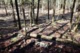 1697 Wildwood Road - Photo 78