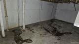19783 Annott Street - Photo 24