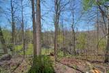 448 Raisin River Drive - Photo 32