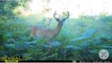 20200 Hibma Road - Photo 14