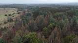 20200 Hibma Road - Photo 76
